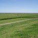 Moddergat
